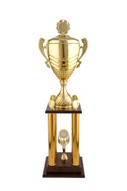 Trofee Sportive TS 102